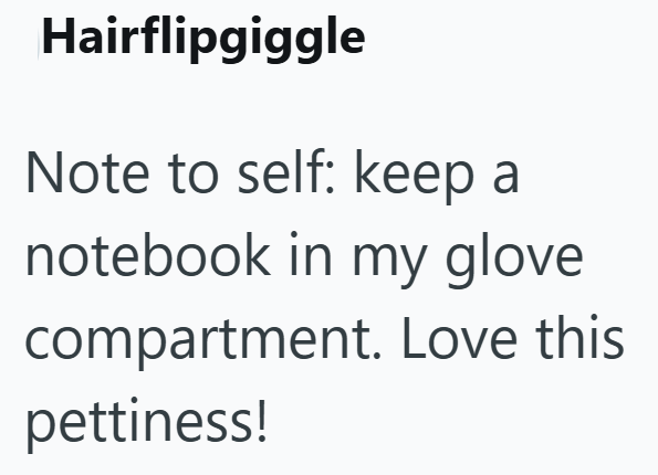 Hairflipgiggle Note to self: keep a notebook in my glove compartment. Love this pettiness!