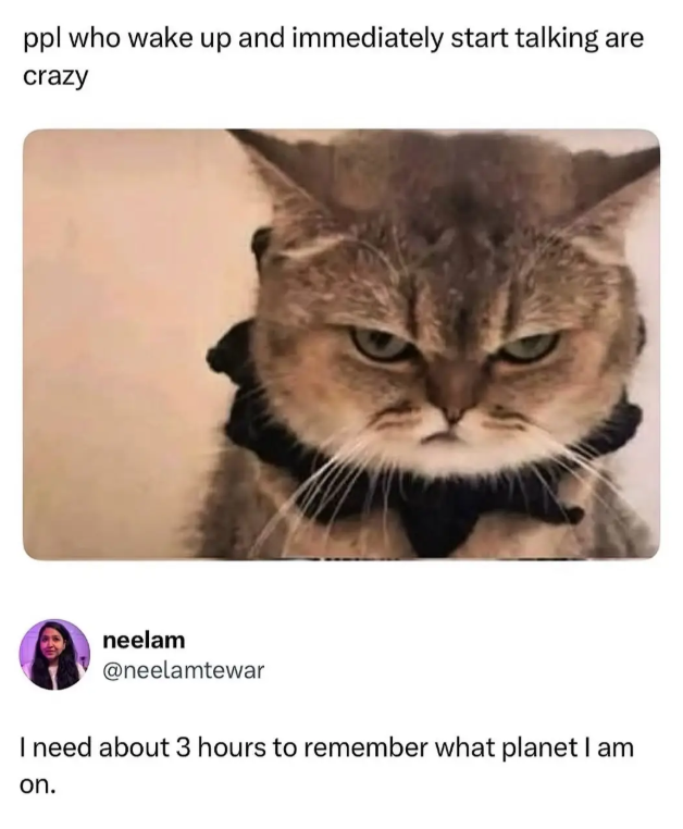ppl who wake up and immediately start talking are crazy neelam @neelamtewar I need about 3 hours to remember what planet I am on.