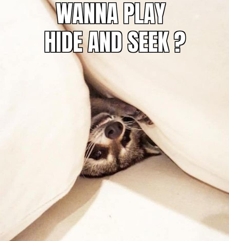 WANNA PLAY HIDE AND SEEK?