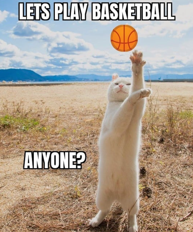 LETS PLAY BASKETBALL ANYONE?