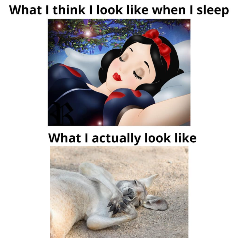What I think I look like when I sleep What I actually look like
