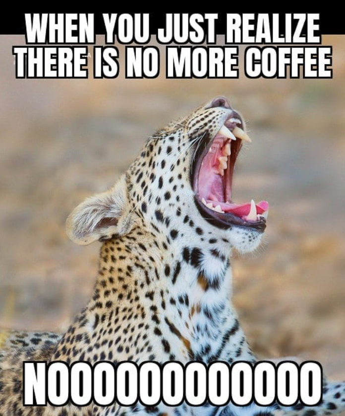 WHEN YOU JUST REALIZE. THERE IS NO MORE COFFEE 10000000000000
