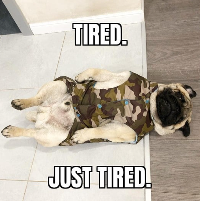 TIRED. JUST TIRED.