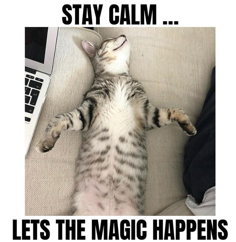 STAY CALM... LETS THE MAGIC HAPPENS