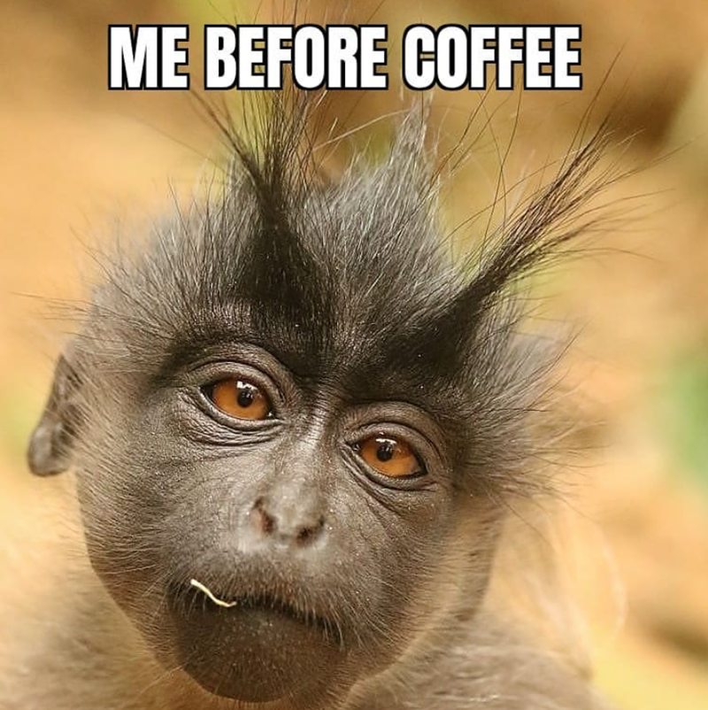 ME BEFORE COFFEE