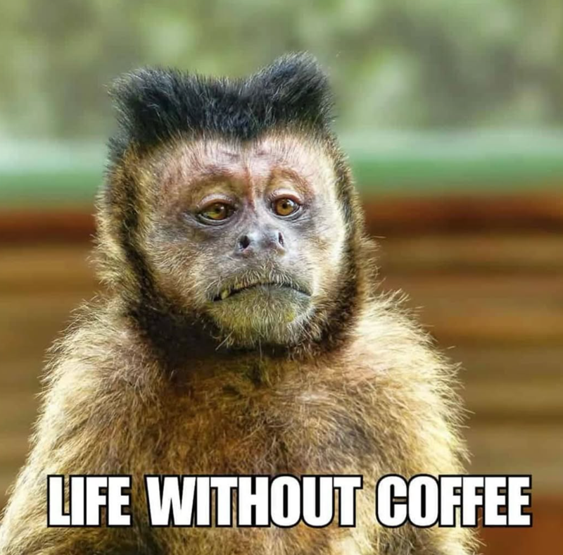 LIFE WITHOUT COFFEE