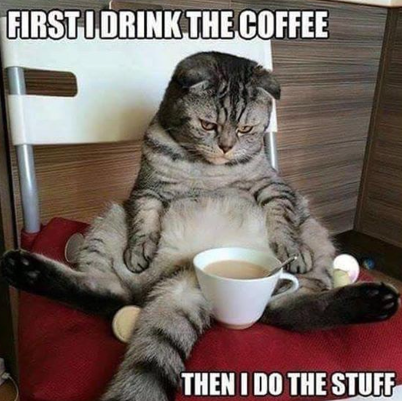 FIRST I DRINK THE COFFEE THEN I DO THE STUFF