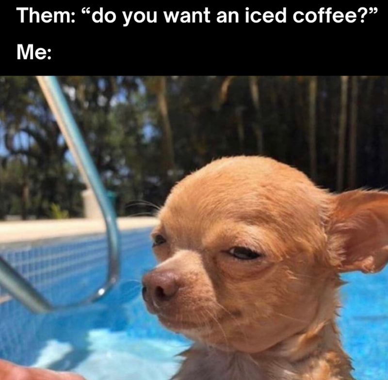 Them: "do you want an iced coffee?” Me: