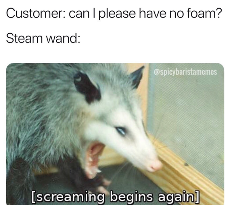 Customer: can I please have no foam? Steam wand: @spicybaristamemes [screaming begins again]