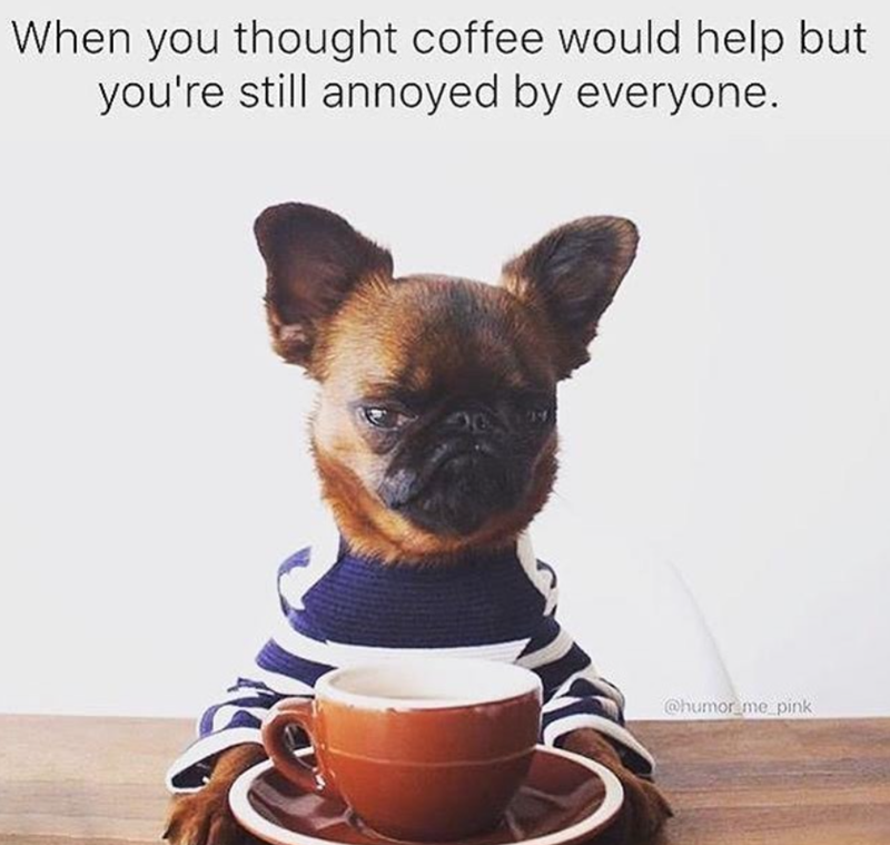 When you thought coffee would help but you're still annoyed by everyone. 24 @humor_me_pink