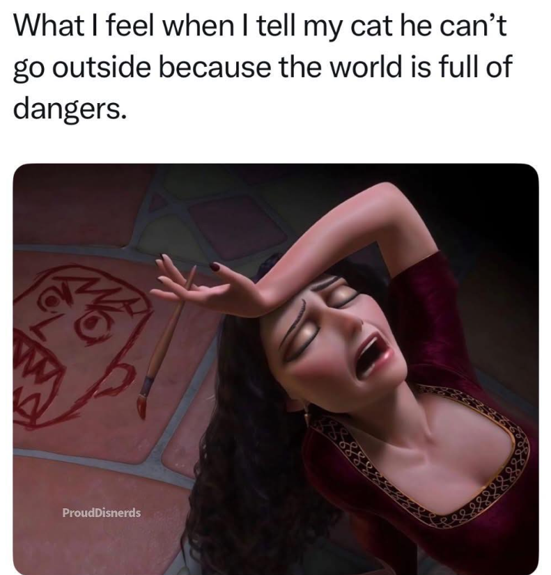 What I feel when I tell my cat he can't go outside because the world is full of dangers. ProudDisnerds