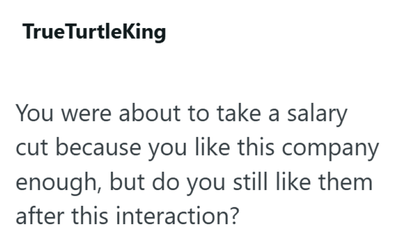 TrueTurtleKing You were about to take a salary cut because you like this company enough, but do you still like them after this interaction?