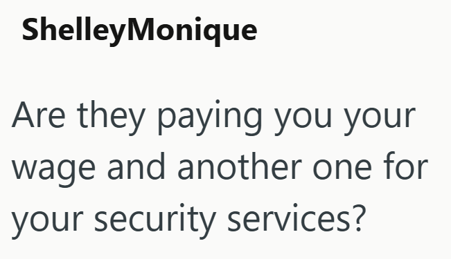 ShelleyMonique Are they paying you your wage and another one for your security services?