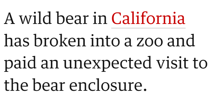 A wild bear in California has broken into a zoo and paid an unexpected visit to the bear enclosure.