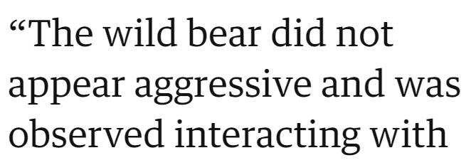 "The wild bear did not appear aggressive and was observed interacting with