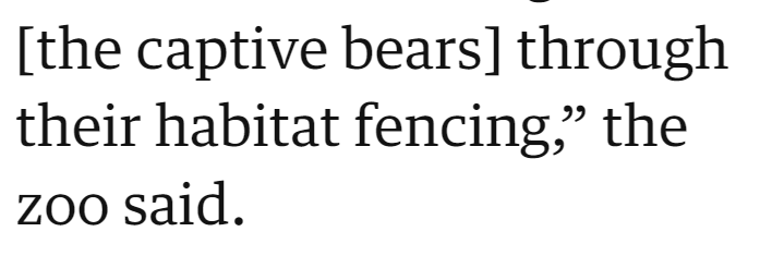[the captive bears] through their habitat fencing," the zoo said.
