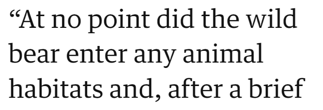 "At no point did the wild bear enter any animal habitats and, after a brief