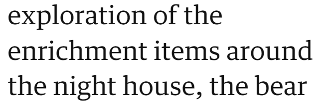 exploration of the enrichment items around the night house, the bear