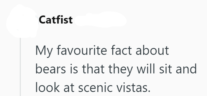 Catfist My favourite fact about bears is that they will sit and look at scenic vistas.