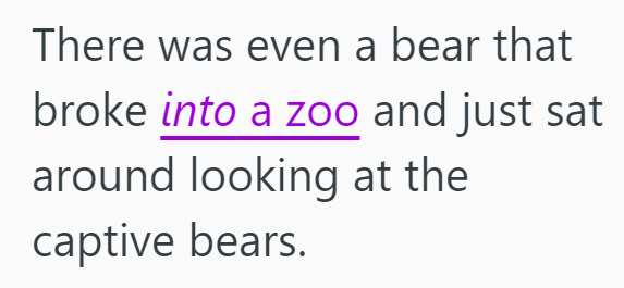There was even a bear that broke into a zoo and just sat around looking at the captive bears.