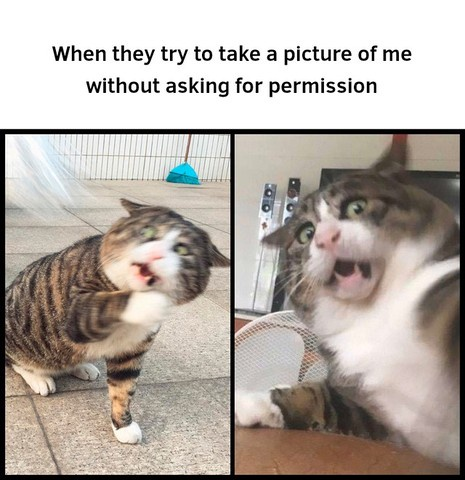 When they try to take a picture of me without asking for permission