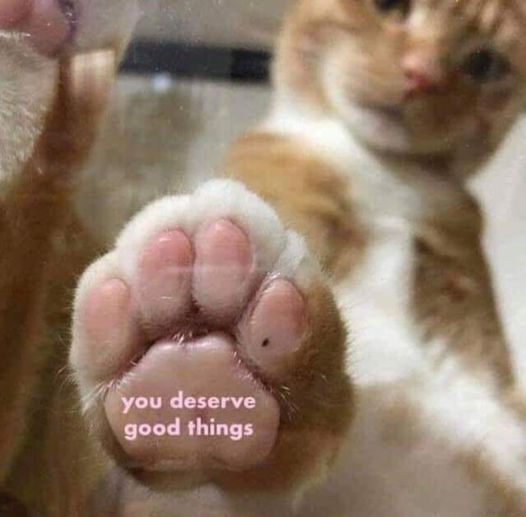 you deserve good things