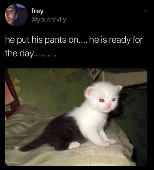 frey @youthfvlly he put his pants on.... he is ready for the day..........