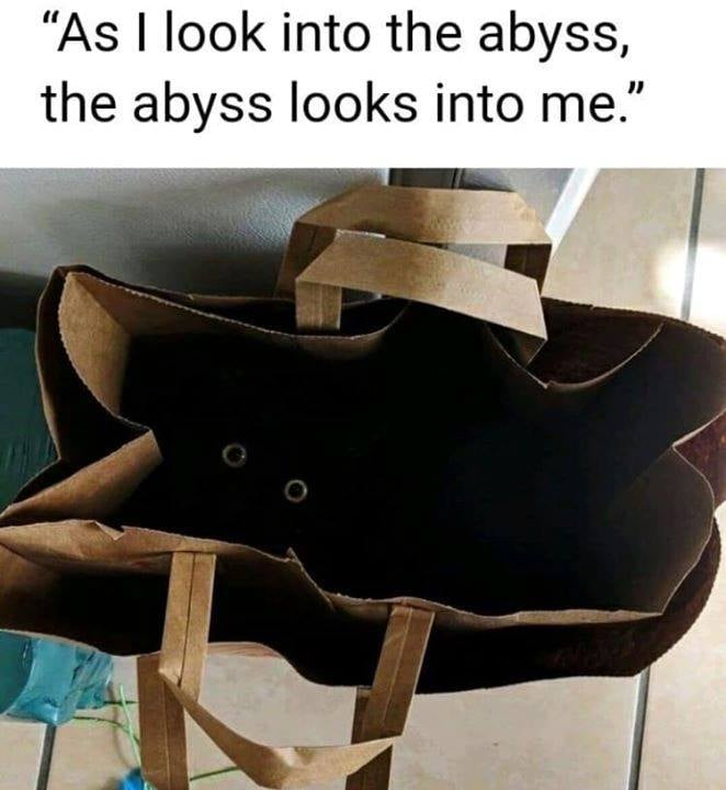 "As I look into the abyss, the abyss looks into me."