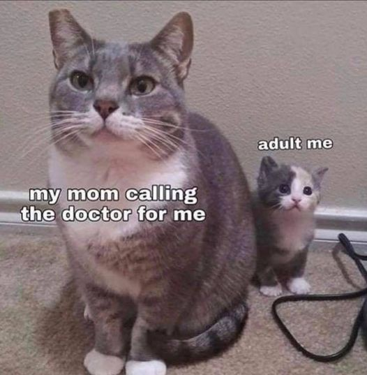 my mom calling the doctor for me adult me