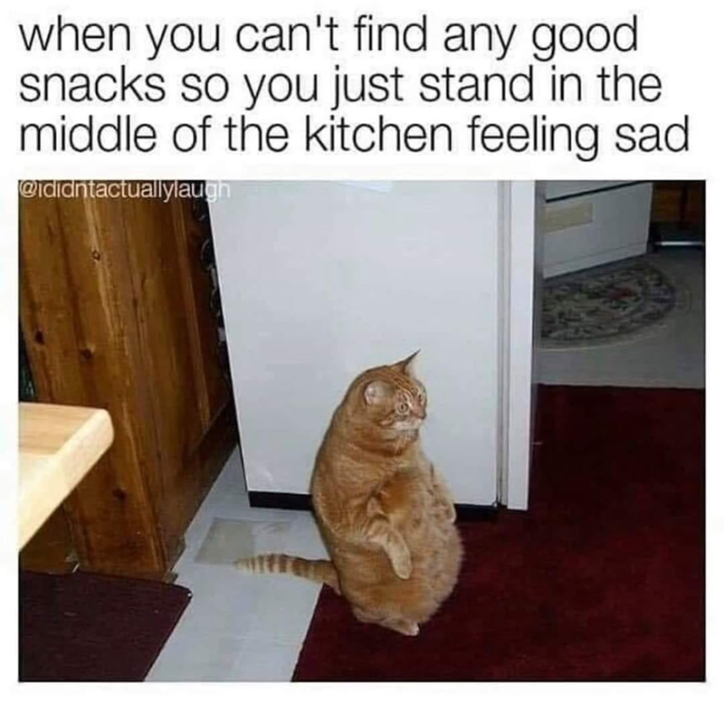 when you can't find any good snacks so you just stand in the middle of the kitchen feeling sad @ididntactuallylaugh