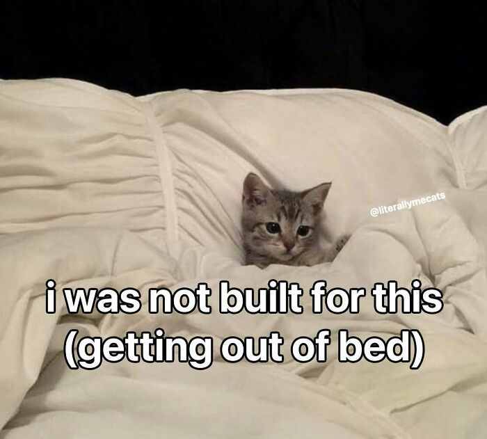 @literallymecats i was not built for this (getting out of bed)