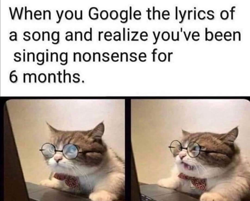 When you Google the lyrics of a song and realize you've been singing nonsense for 6 months.