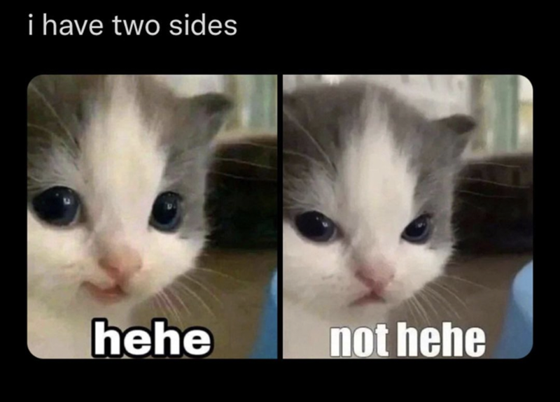 i have two sides hehe not hehe