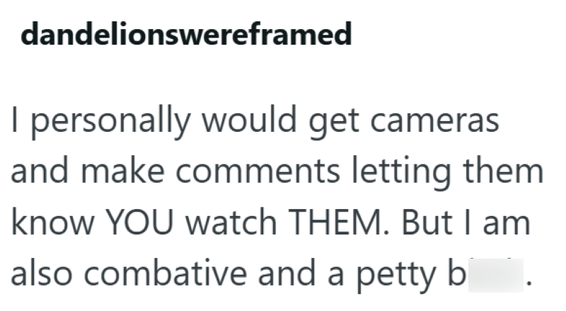 dandelionswereframed I personally would get cameras and make comments letting them know YOU watch THEM. But I am also combative and a petty b