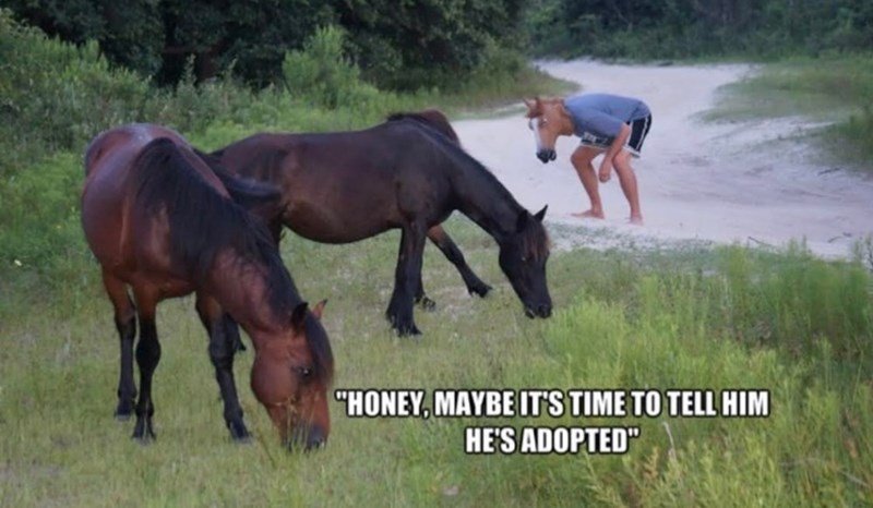 "HONEY, MAYBE IT'S TIME TO TELL HIM HE'S ADOPTED"