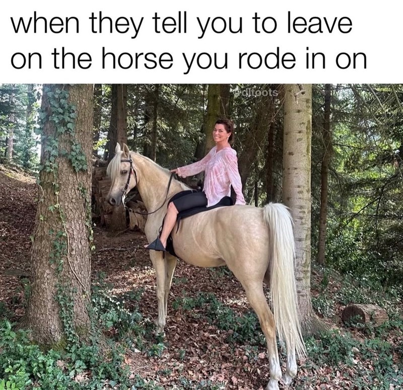 when they tell you to leave on the horse you rode in on dltoots