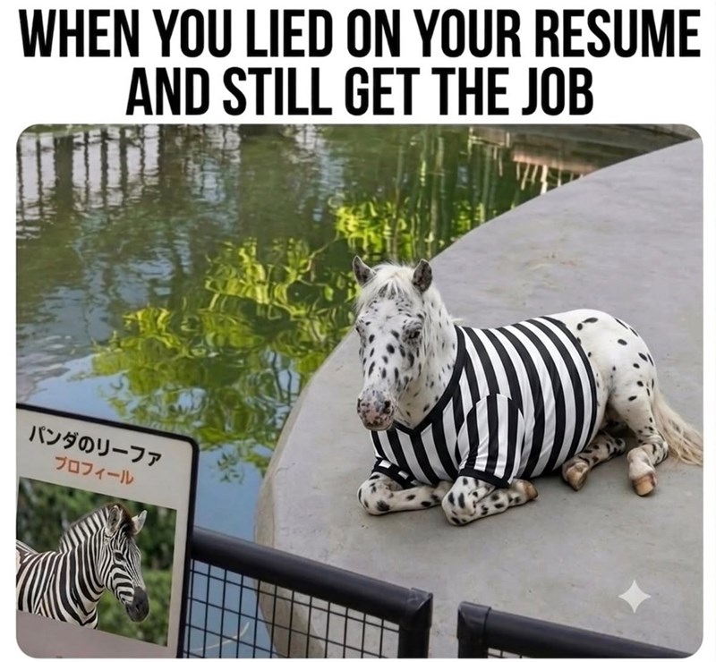WHEN YOU LIED ON YOUR RESUME AND STILL GET THE JOB パンダのリーファ プロフィール