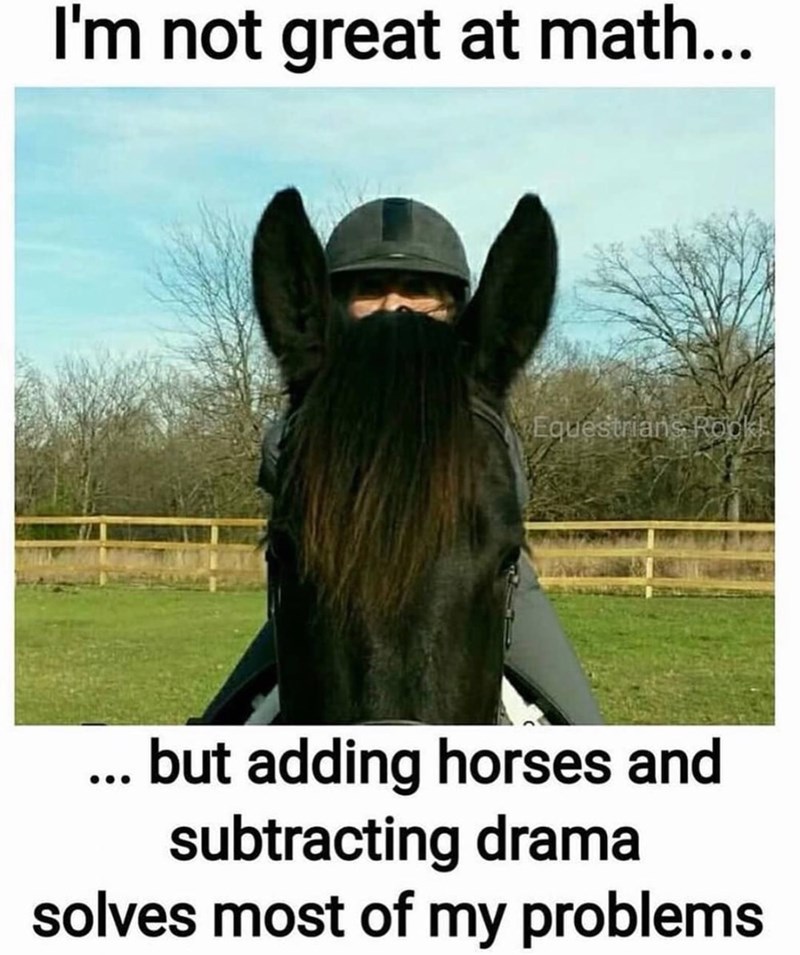 I'm not great at math... Equestrians Rooki ... but adding horses and subtracting drama solves most of my problems