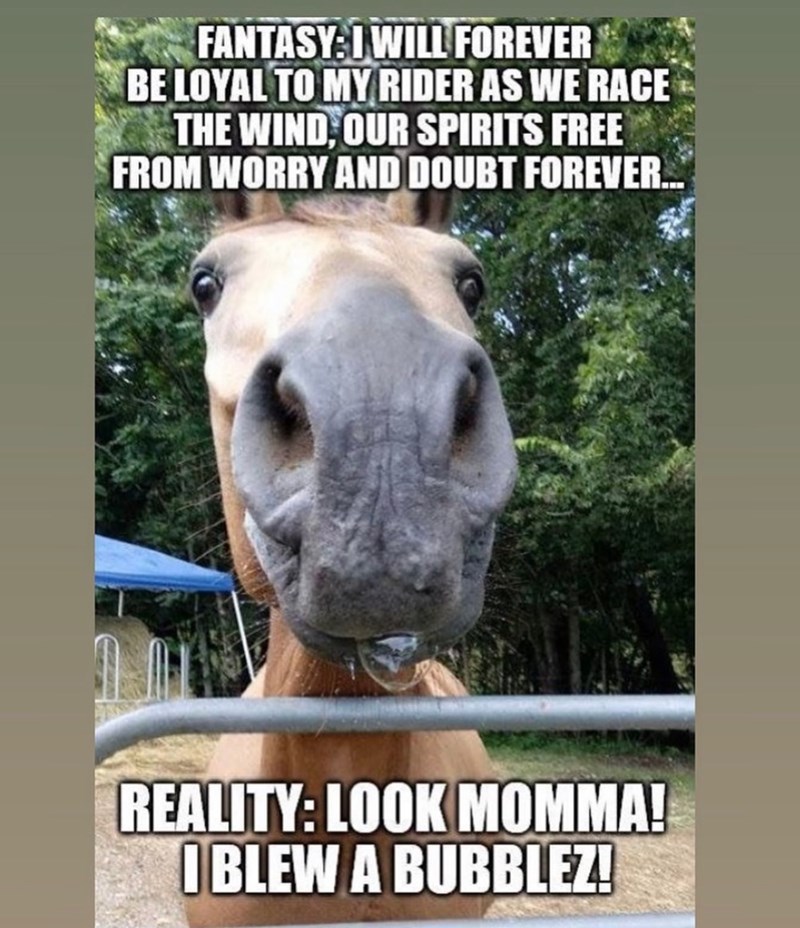 FANTASY: I WILL FOREVER BE LOYAL TO MY RIDER AS WE RACE THE WIND, OUR SPIRITS FREE FROM WORRY AND DOUBT FOREVER.. REALITY: LOOK MOMMA! IBLEW A BUBBLEZ!