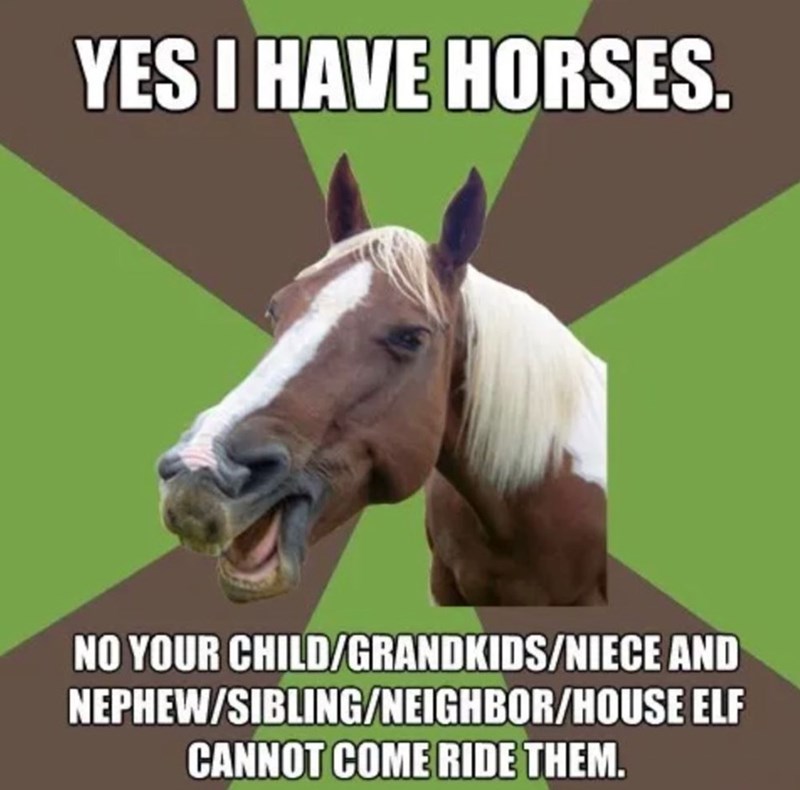 YES I HAVE HORSES. NO YOUR CHILD/GRANDKIDS/NIECE AND NEPHEW/SIBLING/NEIGHBOR/HOUSE ELF CANNOT COME RIDE THEM.