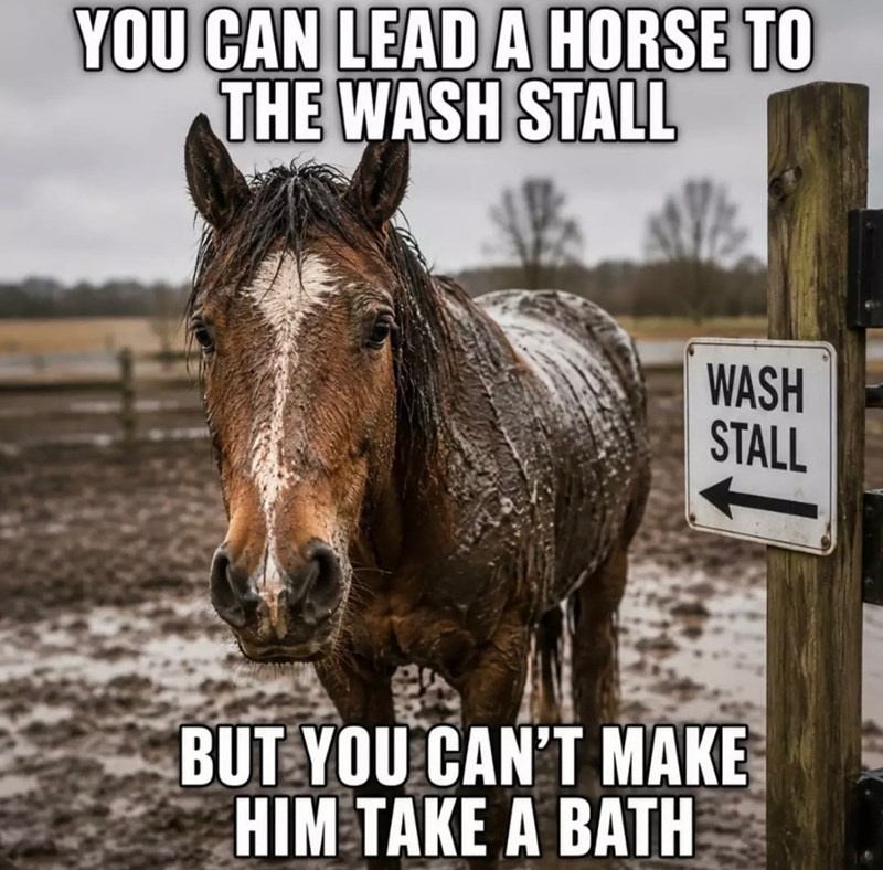 YOU CAN LEAD A HORSE TO THE WASH STALL WASH STALL BUT YOU CAN'T MAKE HIM TAKE A BATH