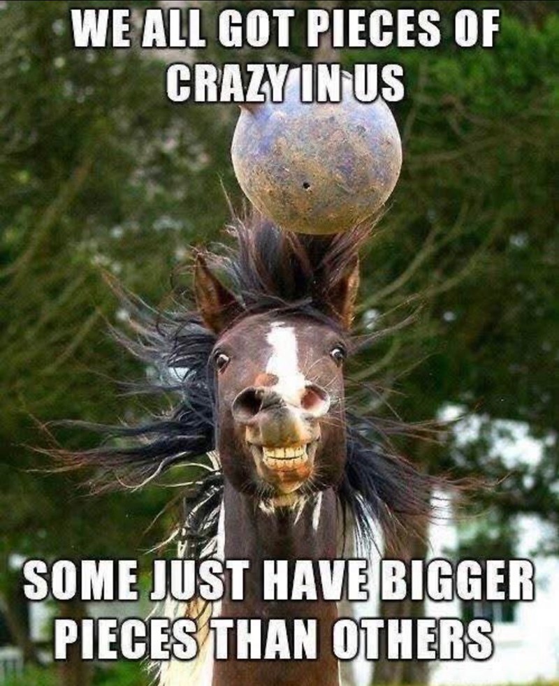 WE ALL GOT PIECES OF CRAZY IN US SOME JUST HAVE BIGGER PIECES THAN OTHERS