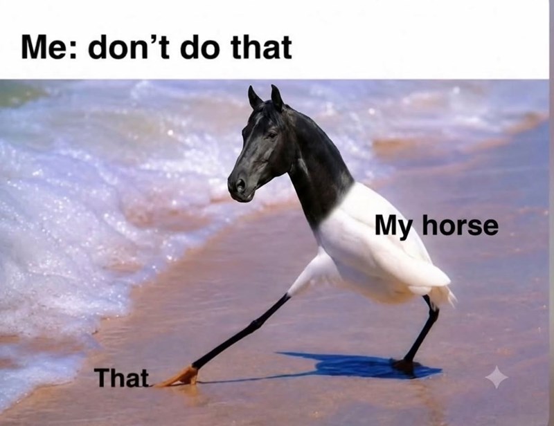Me: don't do that That My horse