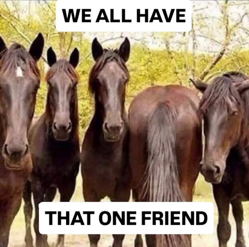 WE ALL HAVE THAT ONE FRIEND