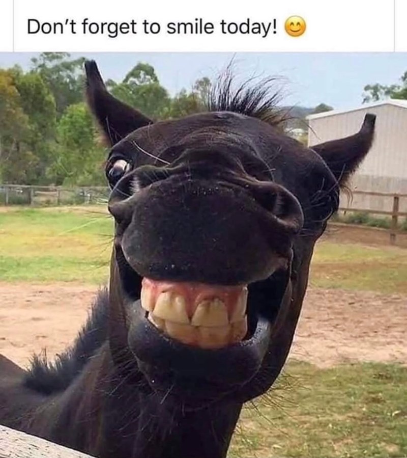 Don't forget to smile today!