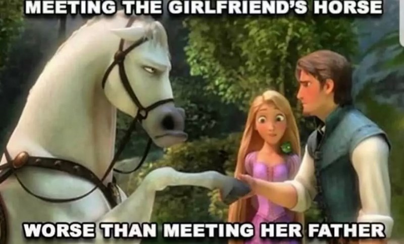 MEETING THE GIRLFRIEND'S HORSE WORSE THAN MEETING HER FATHER