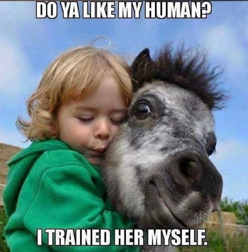 DO YA LIKE MY HUMAN? I TRAINED HER MYSELF.