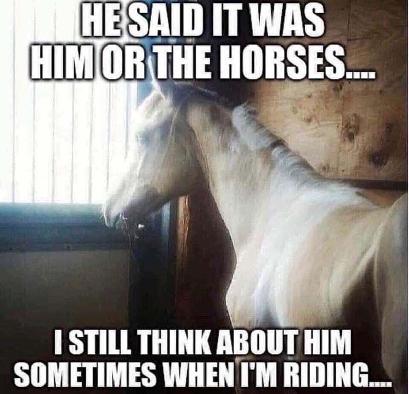 HE SAID IT WAS HIM OR THE HORSES.... I STILL THINK ABOUT HIM SOMETIMES WHEN I'M RIDING....