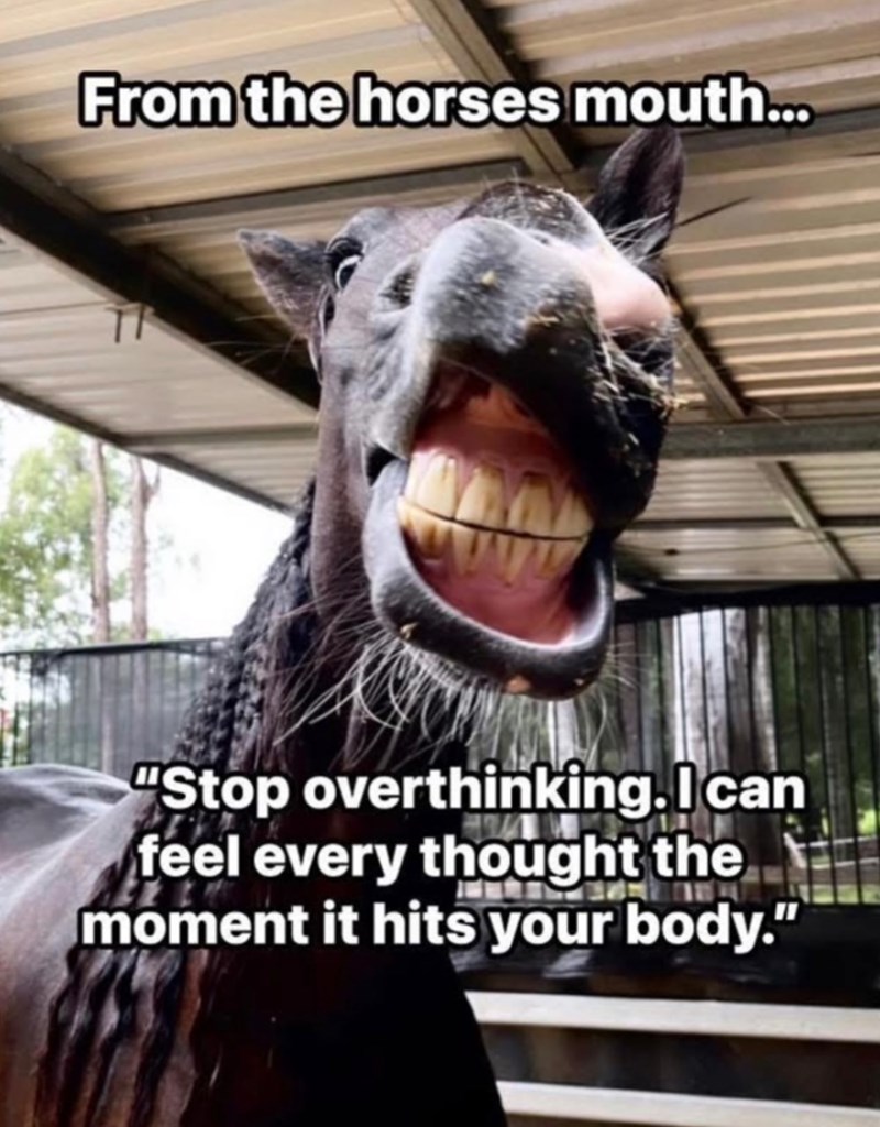 From the horses mouth... "Stop overthinking. I can feel every thought the moment it hits your body."