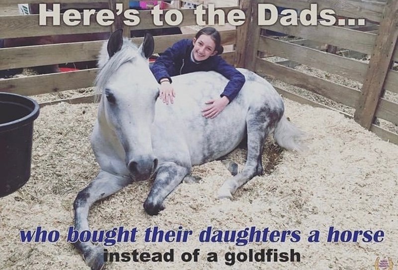 Here's to the Dads... who bought their daughters a horse instead of a goldfish